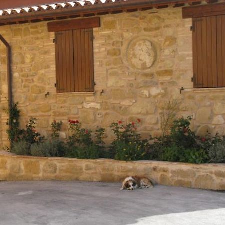 Pietra Maula Agriturismo Castelraimondo Εξωτερικό φωτογραφία