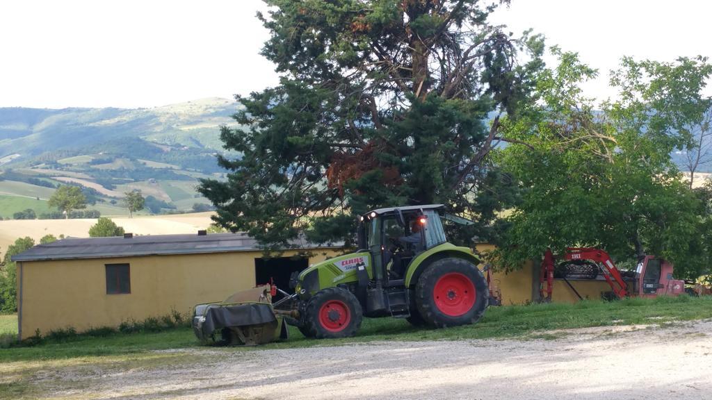 Pietra Maula Agriturismo Castelraimondo Εξωτερικό φωτογραφία