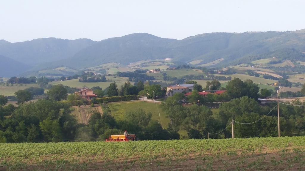 Pietra Maula Agriturismo Castelraimondo Εξωτερικό φωτογραφία