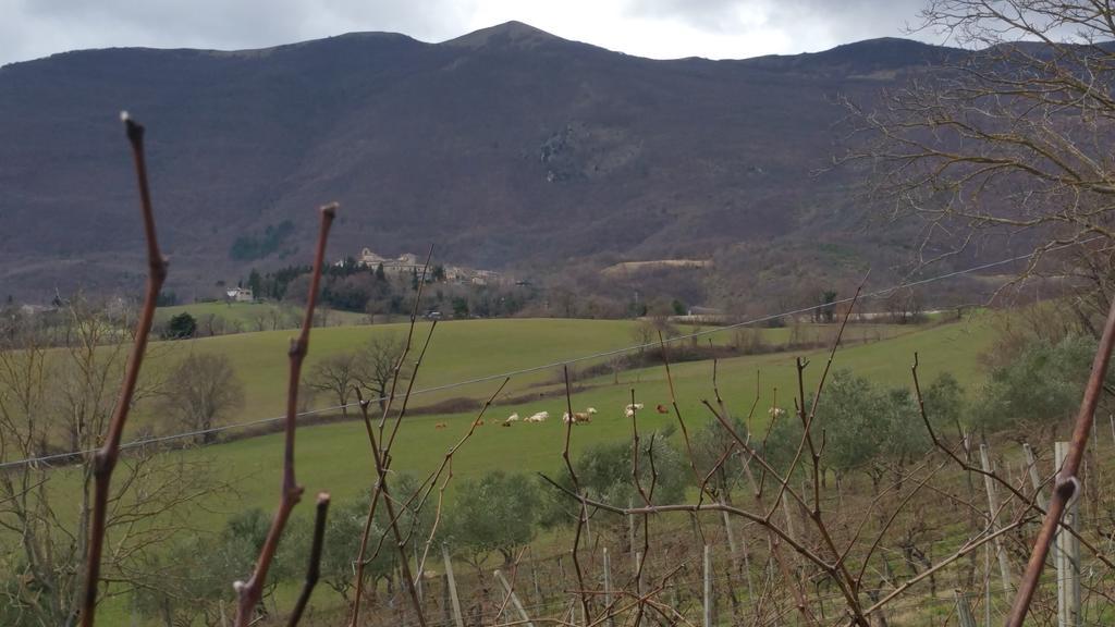 Pietra Maula Agriturismo Castelraimondo Εξωτερικό φωτογραφία