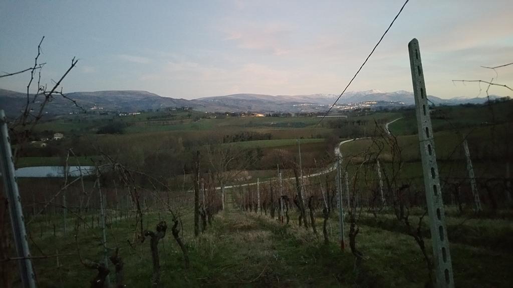 Pietra Maula Agriturismo Castelraimondo Εξωτερικό φωτογραφία