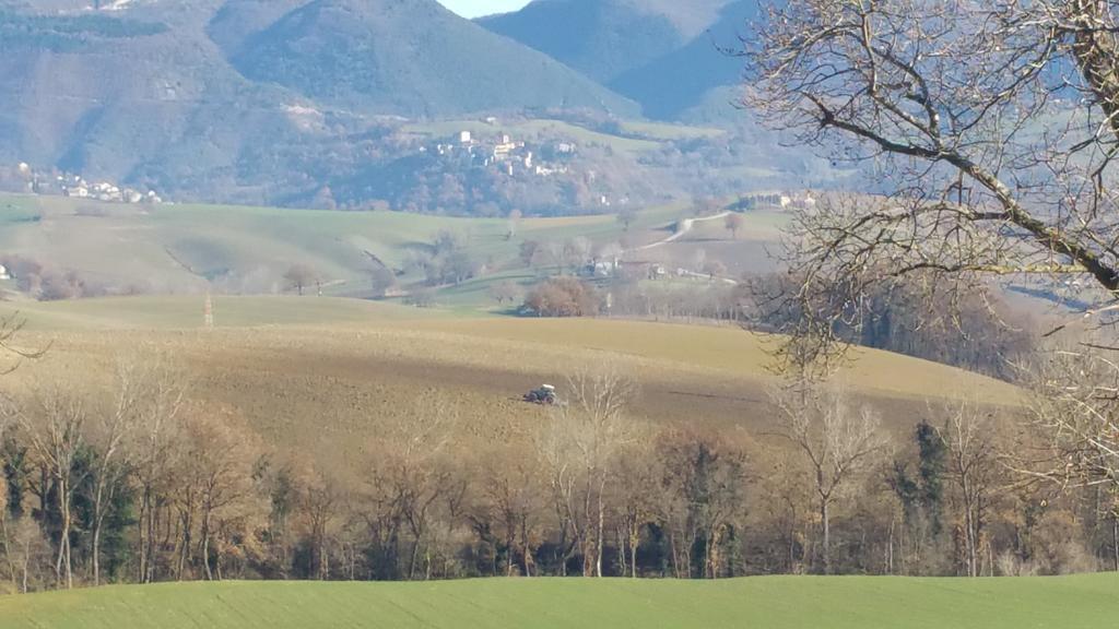Pietra Maula Agriturismo Castelraimondo Εξωτερικό φωτογραφία