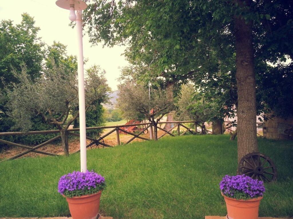 Pietra Maula Agriturismo Castelraimondo Εξωτερικό φωτογραφία